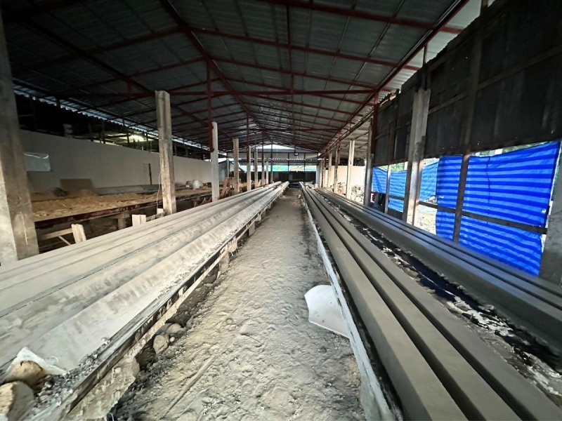 โรงงานบัวปูนปั้นสำเร็จรูป ราคาส่ง